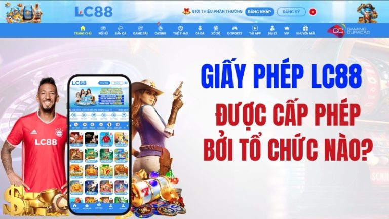 Sai lầm khi chọn loại tiền tệ: Nguyên nhân và hậu quả